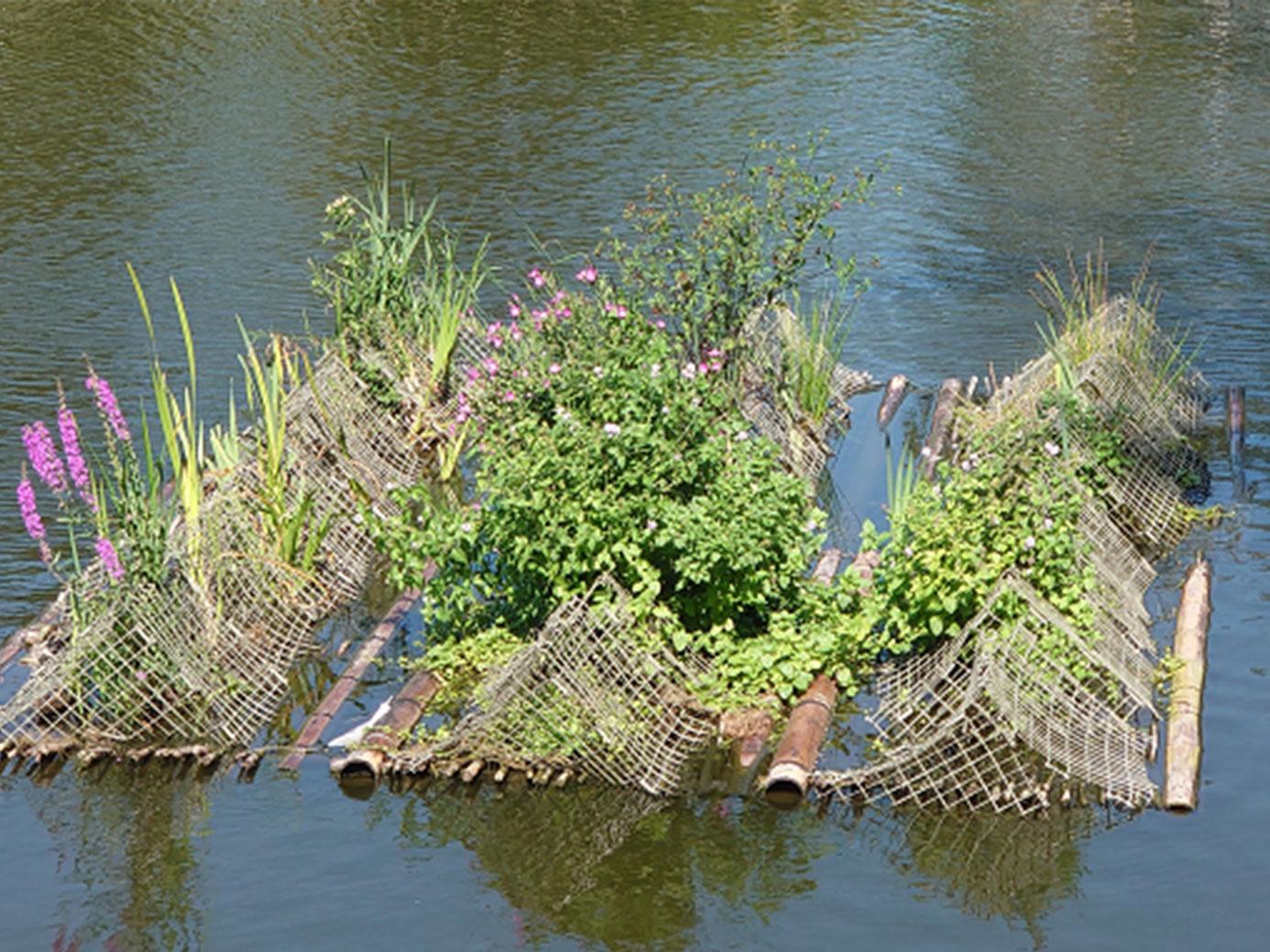 Aanleg Bio-Floats Blijdorp