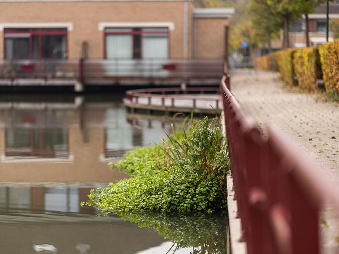 Drijvende plant eilanden “Bio-Floats”