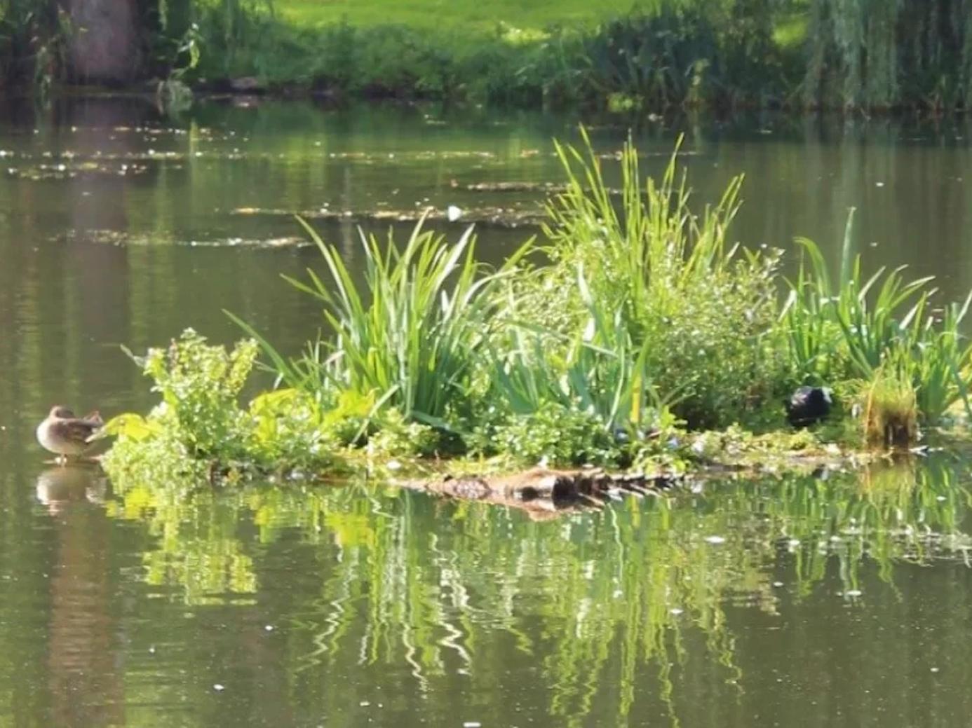 KVK innovatie top 100