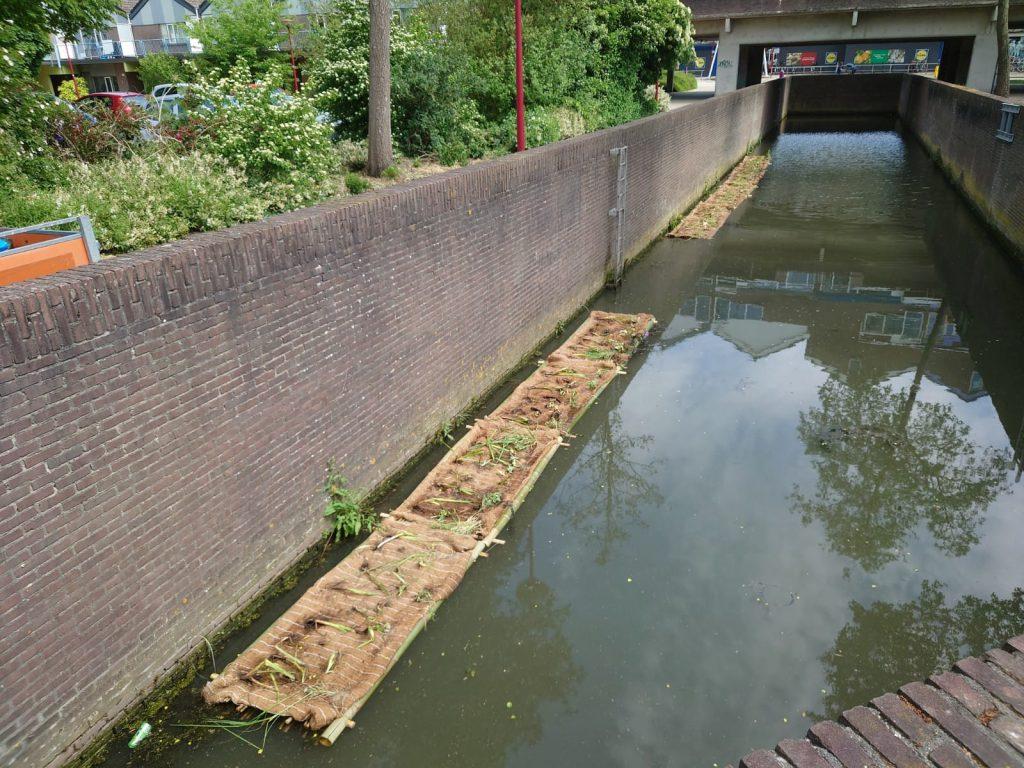 Aanleg Groene Oeverbeplanting in Nieuwegein