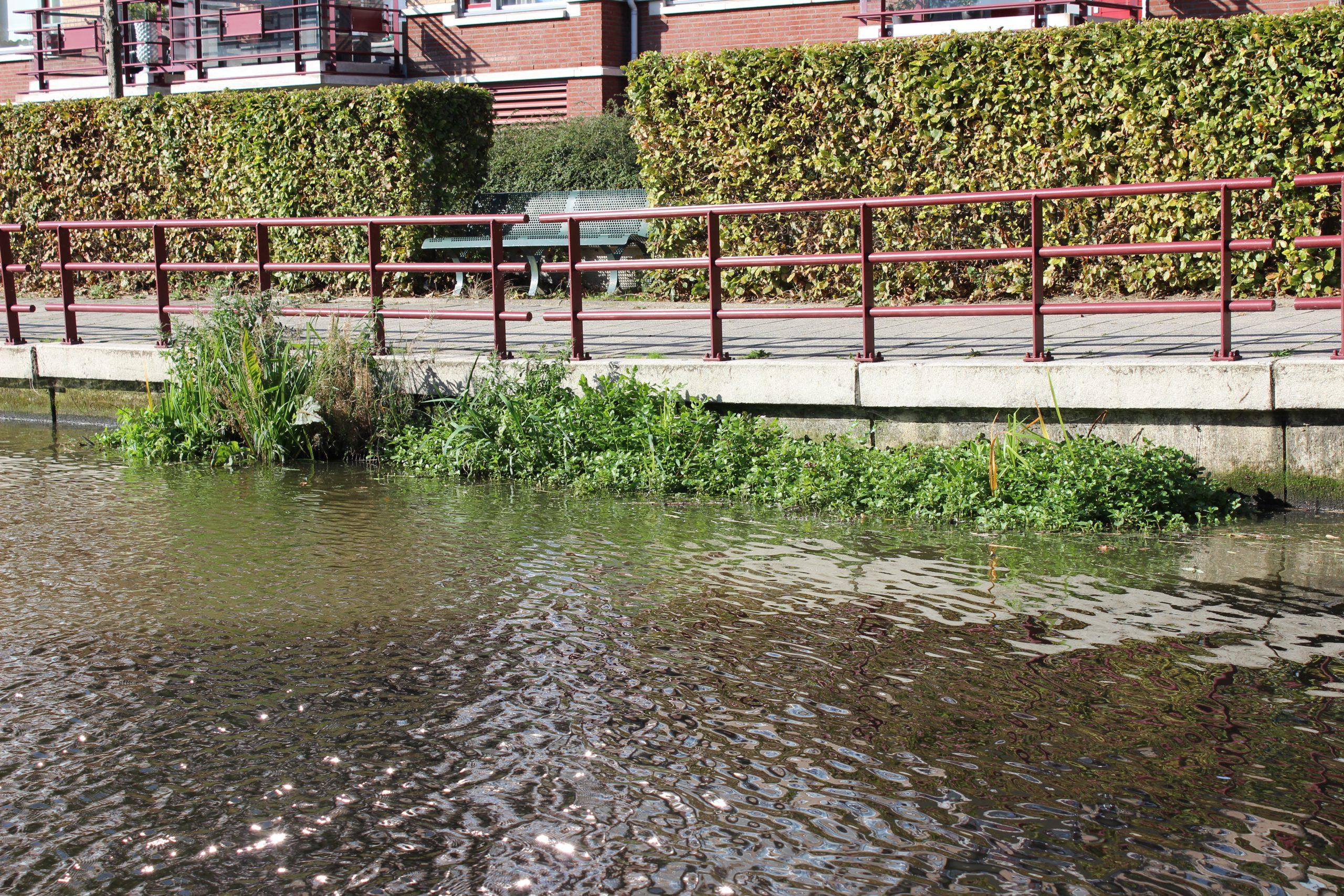 Bio-Floats Hoeksche Waard