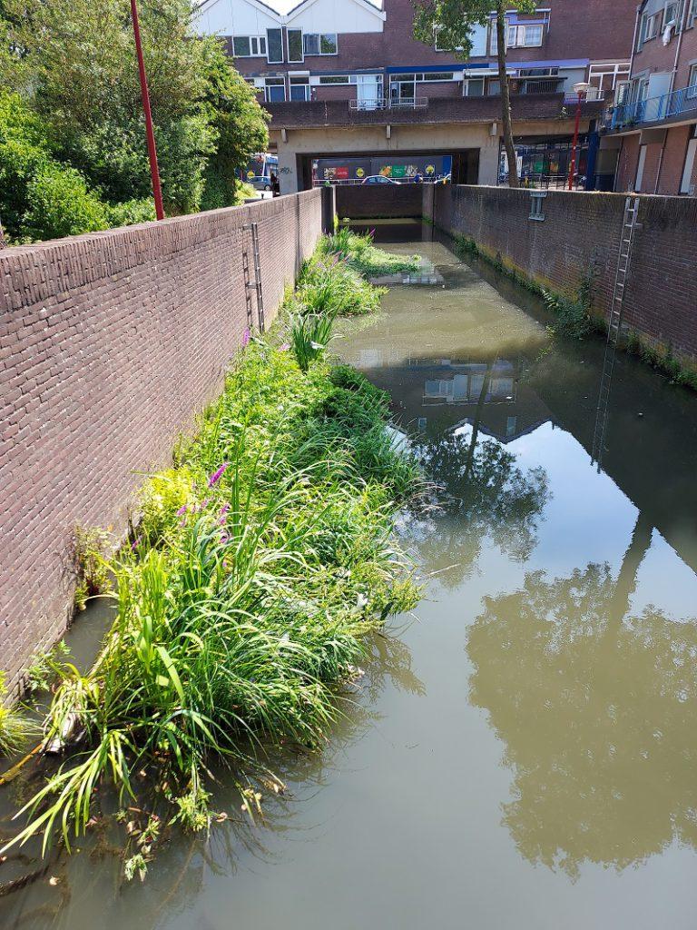 Groenere Oevers in Nieuwegein door Bio-Floats