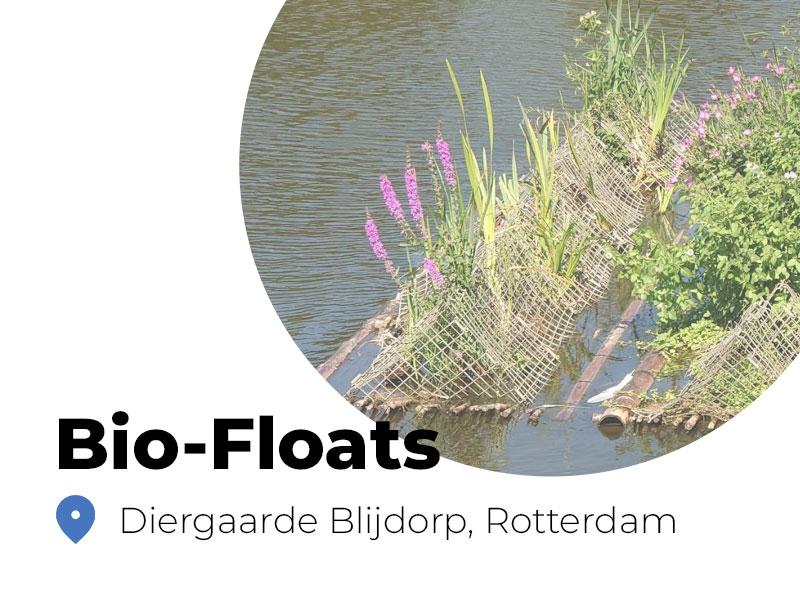 Biodiversiteit Verhogen Diergaarde Blijdorp